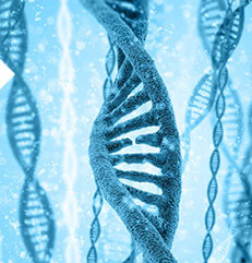 第三代试管婴儿遗传学诊断术
